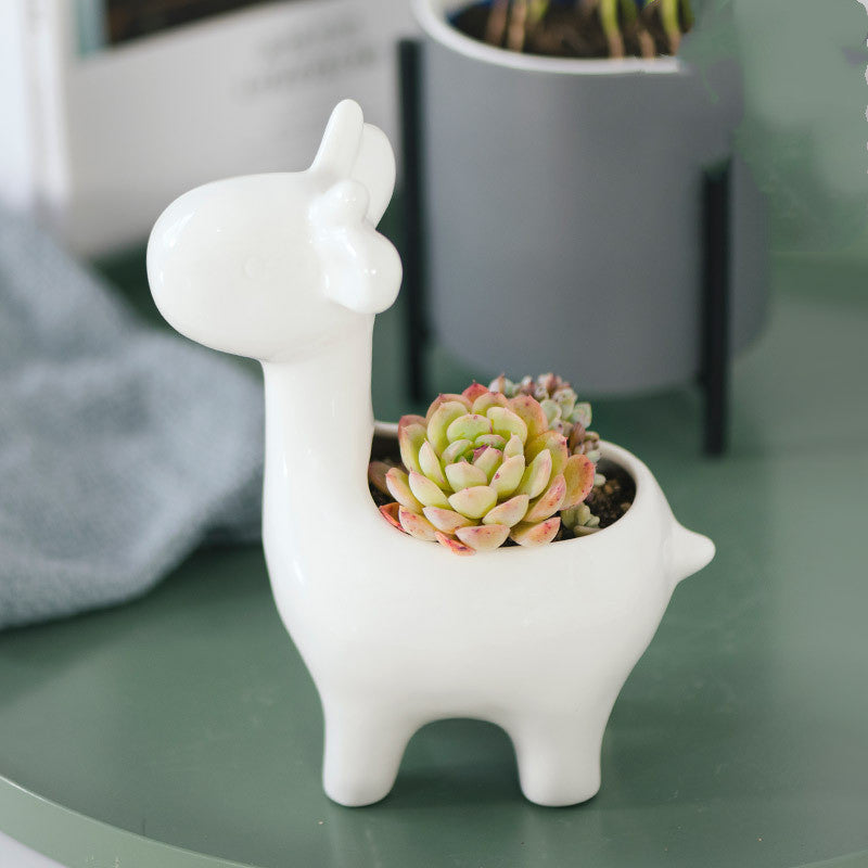 Nordic White Ceramic Succulent Planter Pots