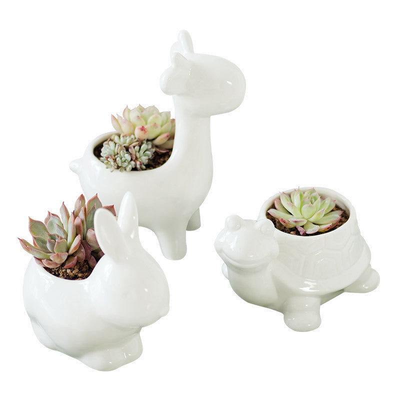 Nordic White Ceramic Succulent Planter Pots