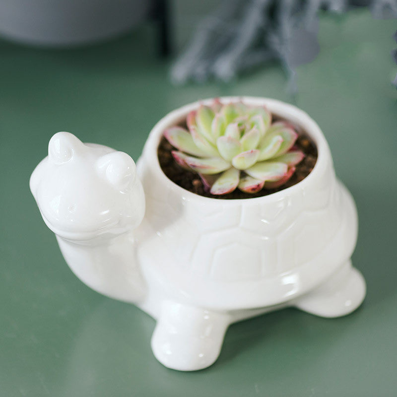 Nordic White Ceramic Succulent Planter Pots