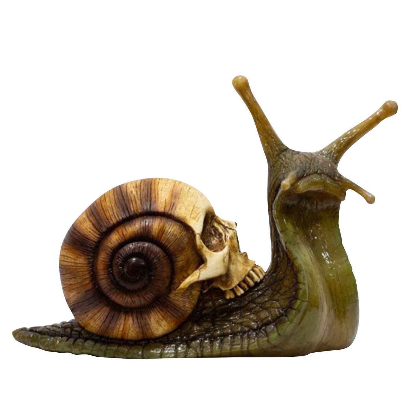 Snail Skull Gothic Garden Decoration Resin Figurine - 3 Colour Choices