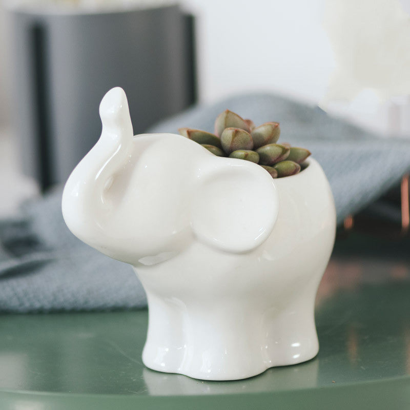 Nordic White Ceramic Succulent Planter Pots