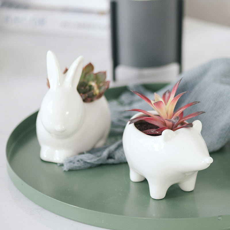 Nordic White Ceramic Succulent Planter Pots