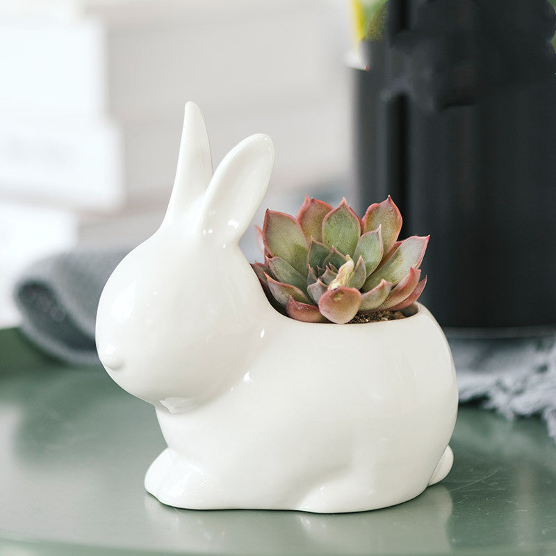Nordic White Ceramic Succulent Planter Pots