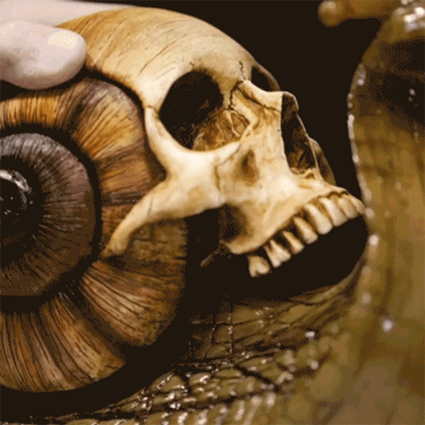 Snail Skull Gothic Garden Decoration Resin Figurine - 3 Colour Choices