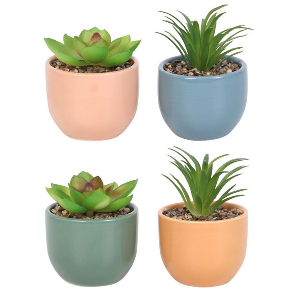 Mini Plant Pots With Artificial Succulents - Fun and Inspirational Phrases