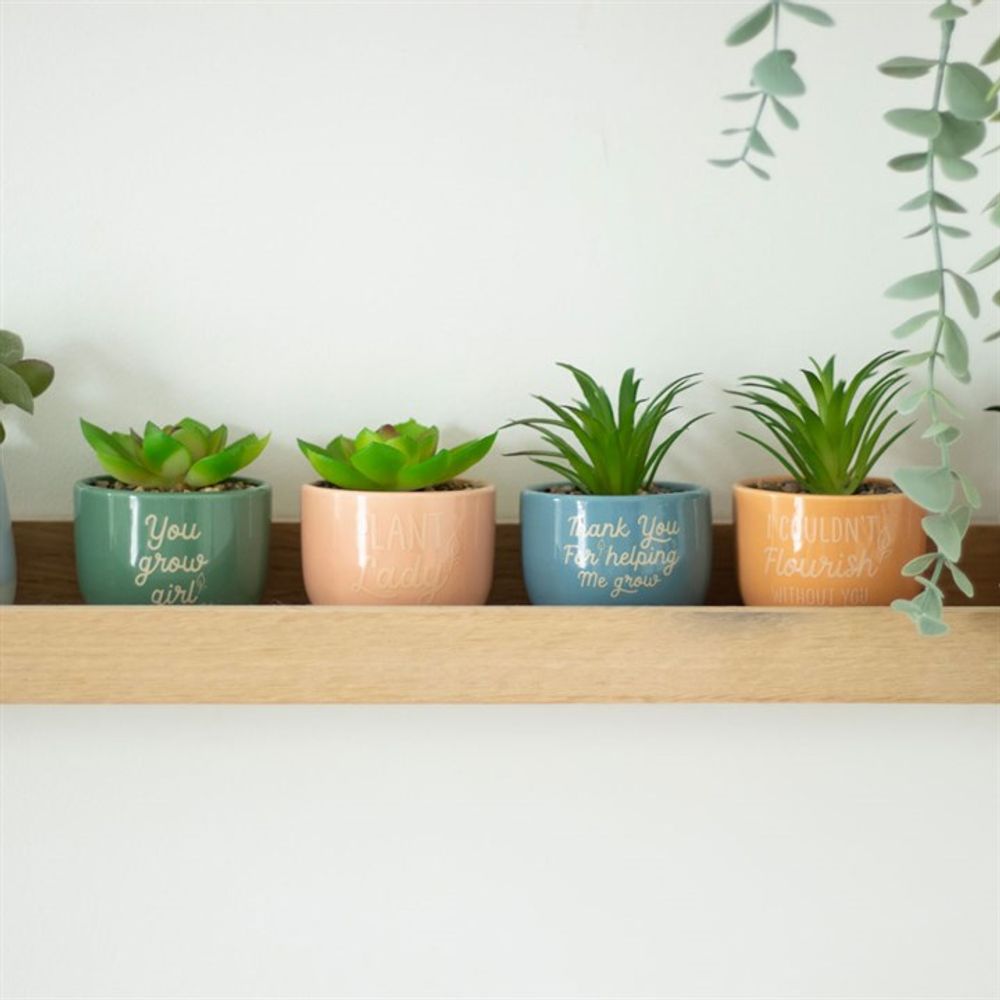 Mini Plant Pots With Artificial Succulents - Fun and Inspirational Phrases