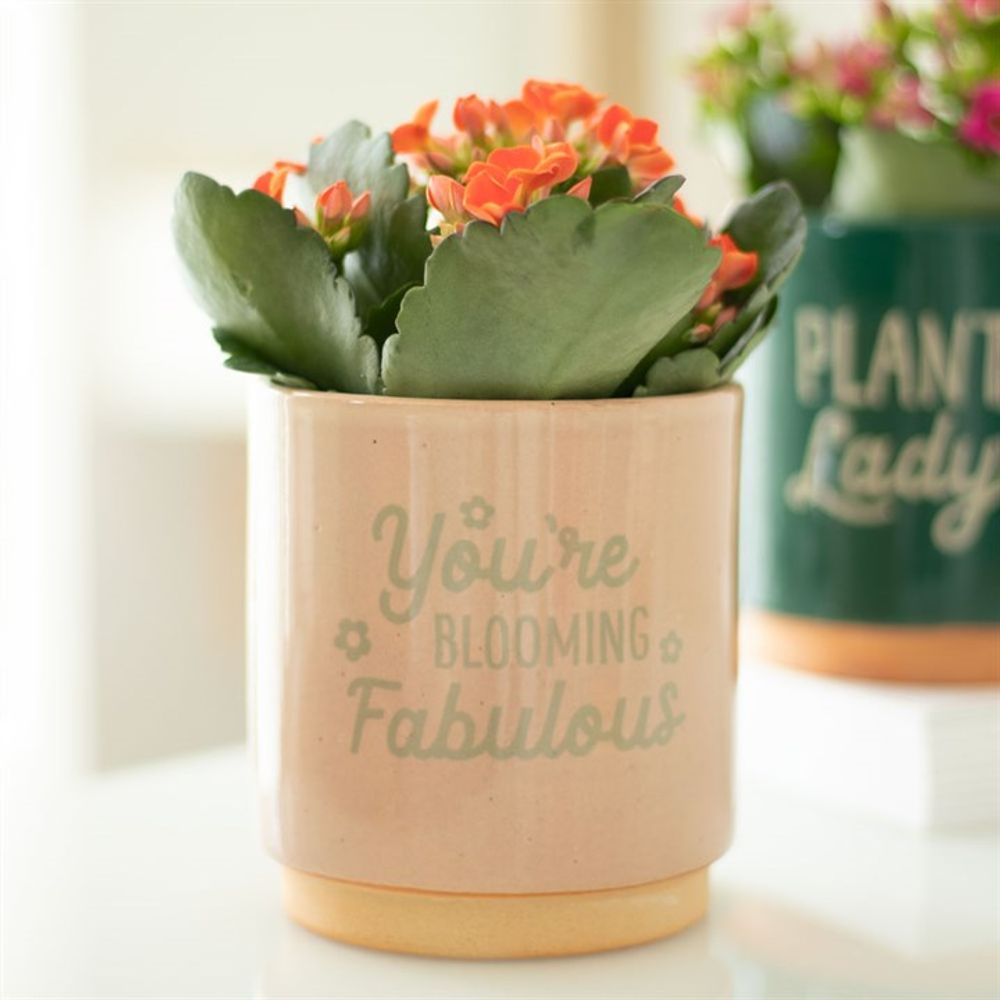 Peach Ceramic Plant Pot - You're Blooming Fabulous