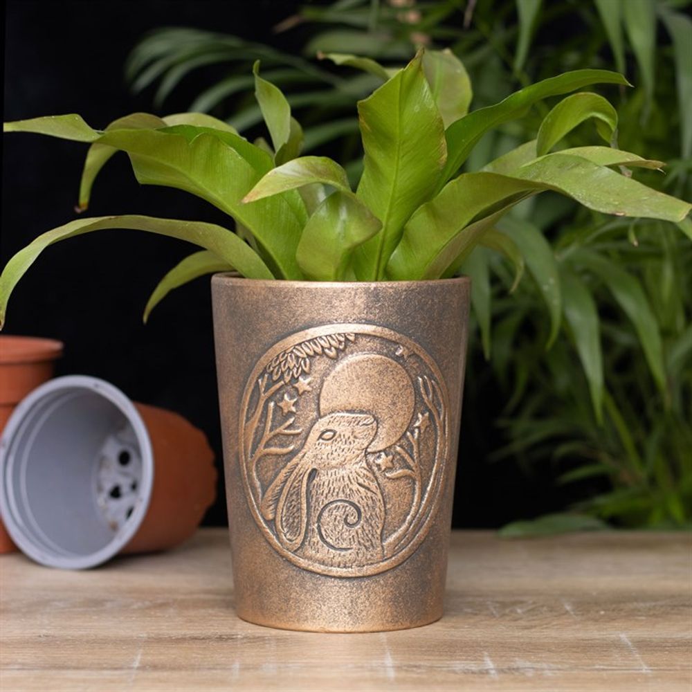 Antique Bronze Effect Terracotta Plant Pot - Moon Gazing Hare by Lisa Parker