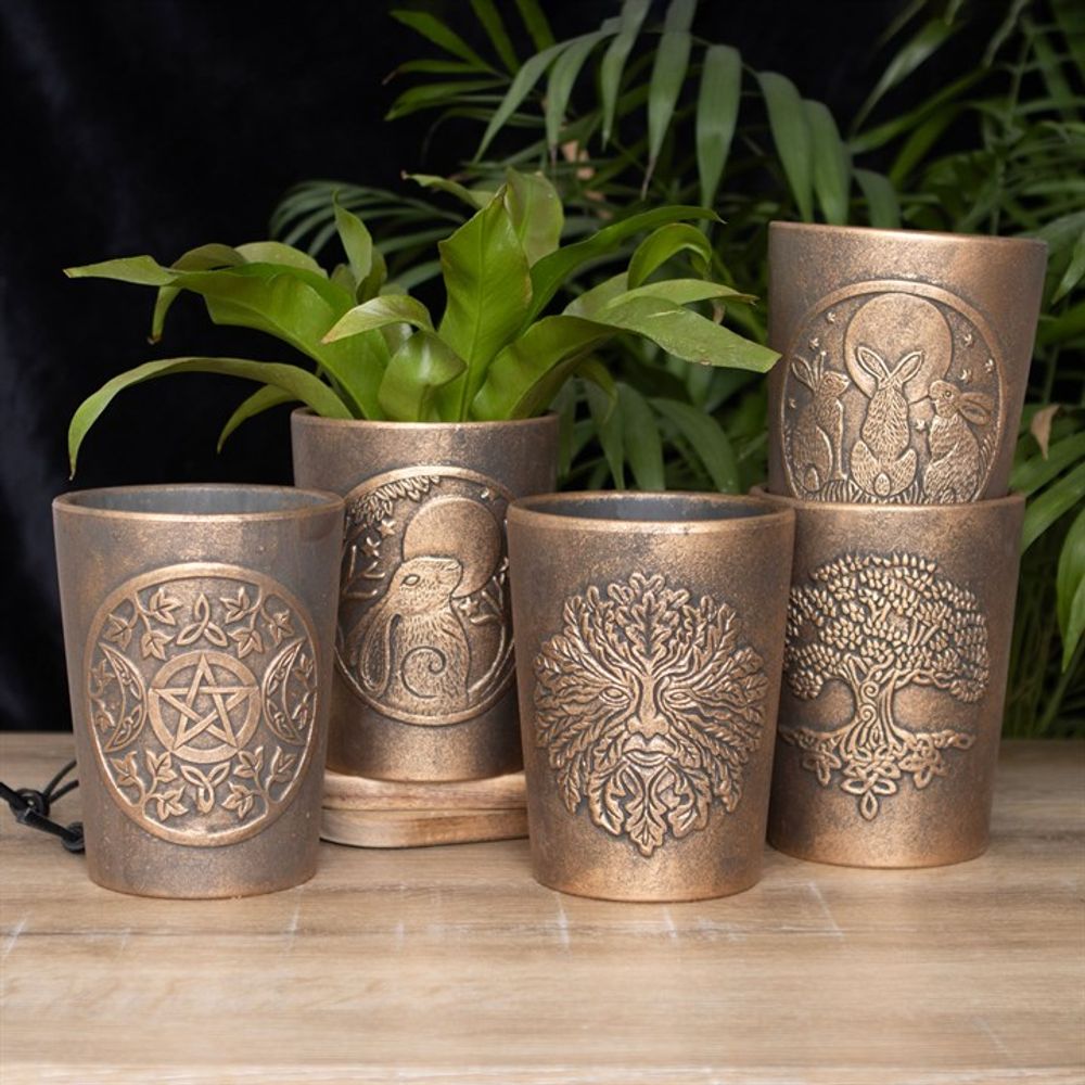 Antique Bronze Finished Terracotta Plant Pot - Green Man by Lisa Parker