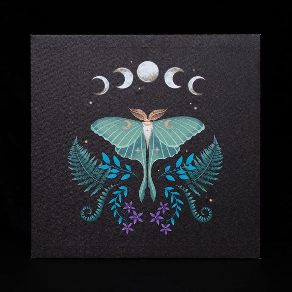 Battery Powered Luna Moth Light Up Canvas Wall Decor