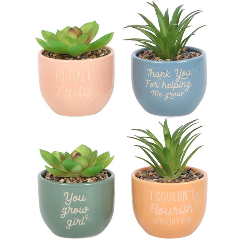 Mini Plant Pots With Artificial Succulents - Fun and Inspirational Phrases