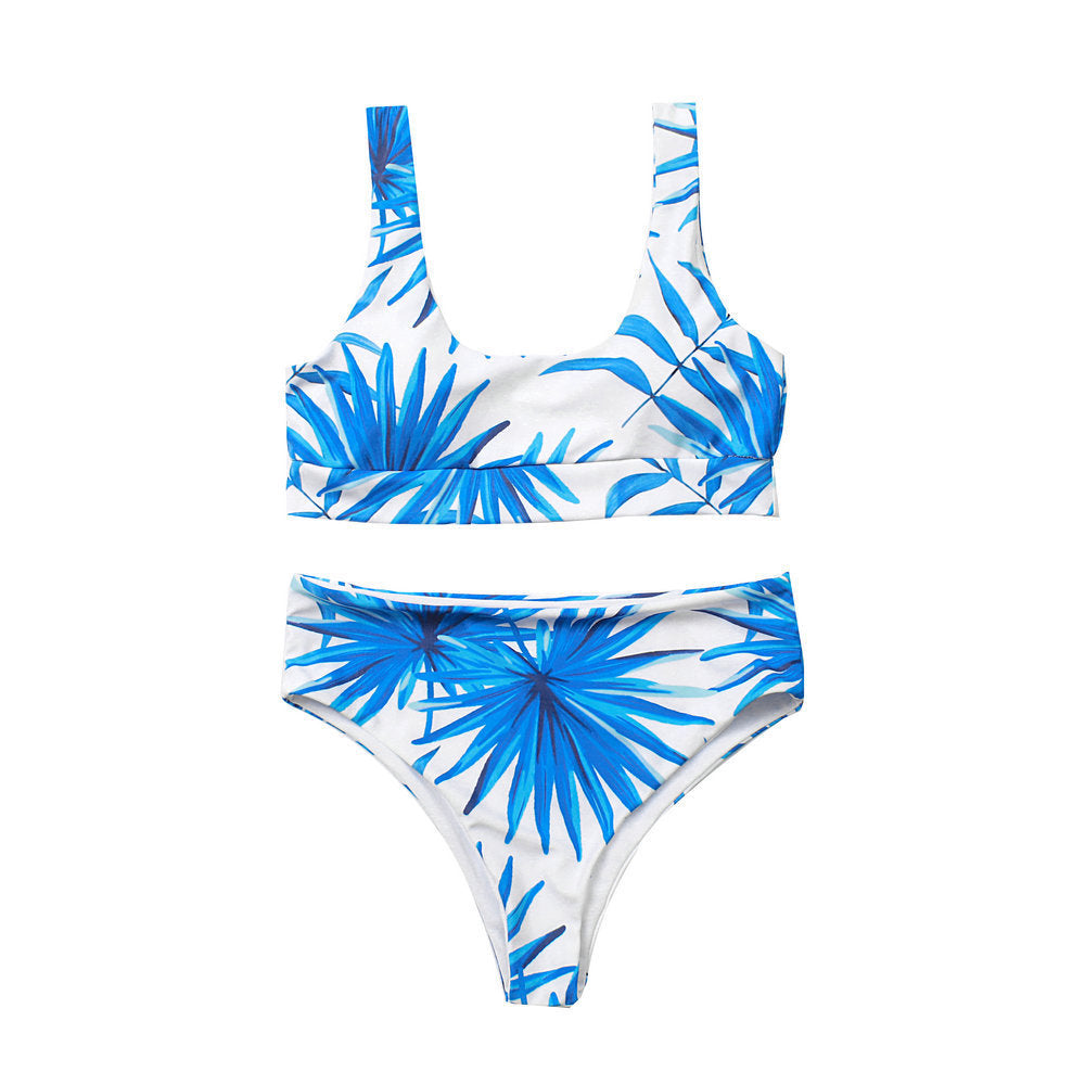 Blue and White Two-Piece Tropical Print Bikini Swimsuit