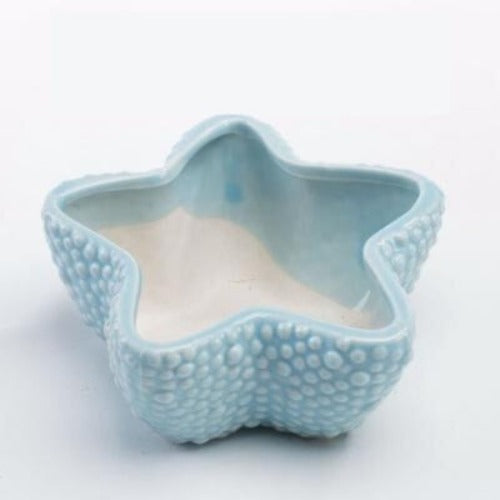 Ocean Themed Succulent Planter Pots - Ceramic Pots for Plants