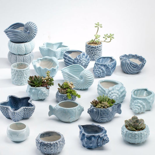 Ocean Themed Succulent Planter Pots - Ceramic Pots for Plants