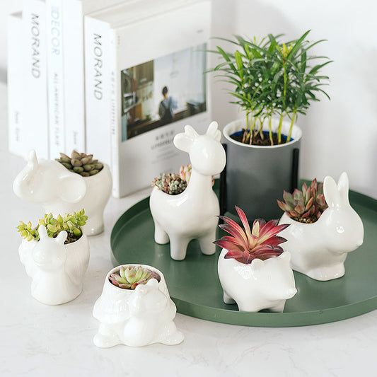 Nordic White Ceramic Succulent Planter Pots