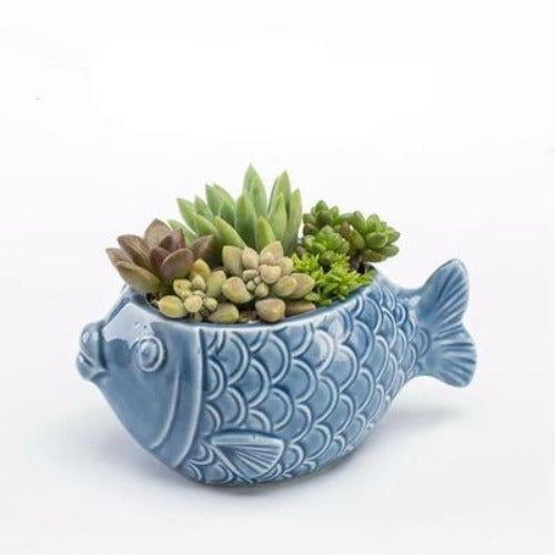 Ocean Themed Succulent Planter Pots - Ceramic Pots for Plants