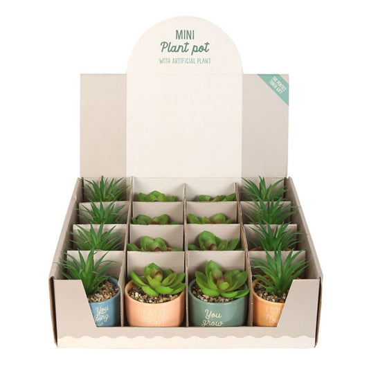 Mini Plant Pots With Artificial Succulents - Fun and Inspirational Phrases