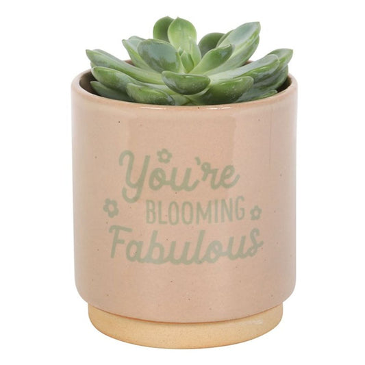 Peach Ceramic Plant Pot - You're Blooming Fabulous