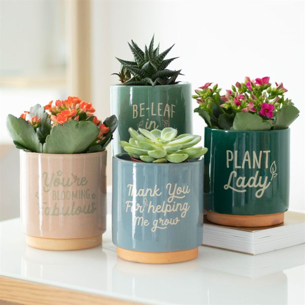 Blue Ceramic Pot Planter - Thank You For Helping Me Grow Plant Pot