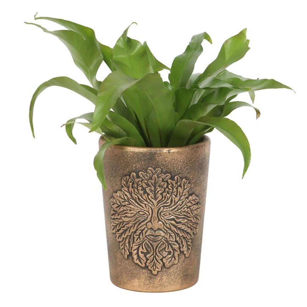 Antique Bronze Finished Terracotta Plant Pot - Green Man by Lisa Parker