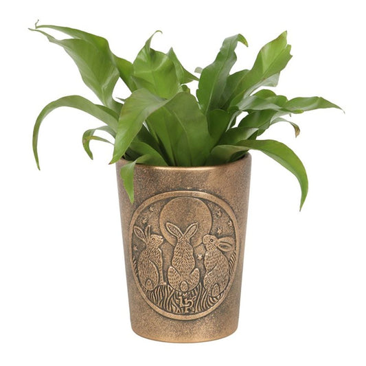 3 Hares Bronze Terracotta Plant Pot - Moon Shadows by Lisa Parker