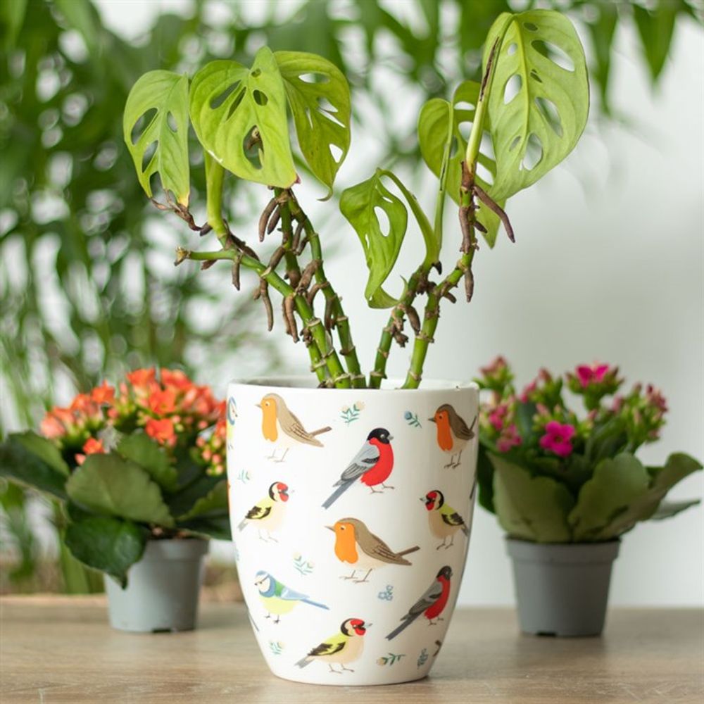 Ceramic Plant Pots Featuring British Garden Birds Print