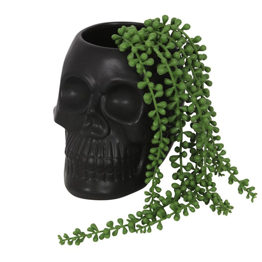 Skull Succulent Plant Pot - Black Planter