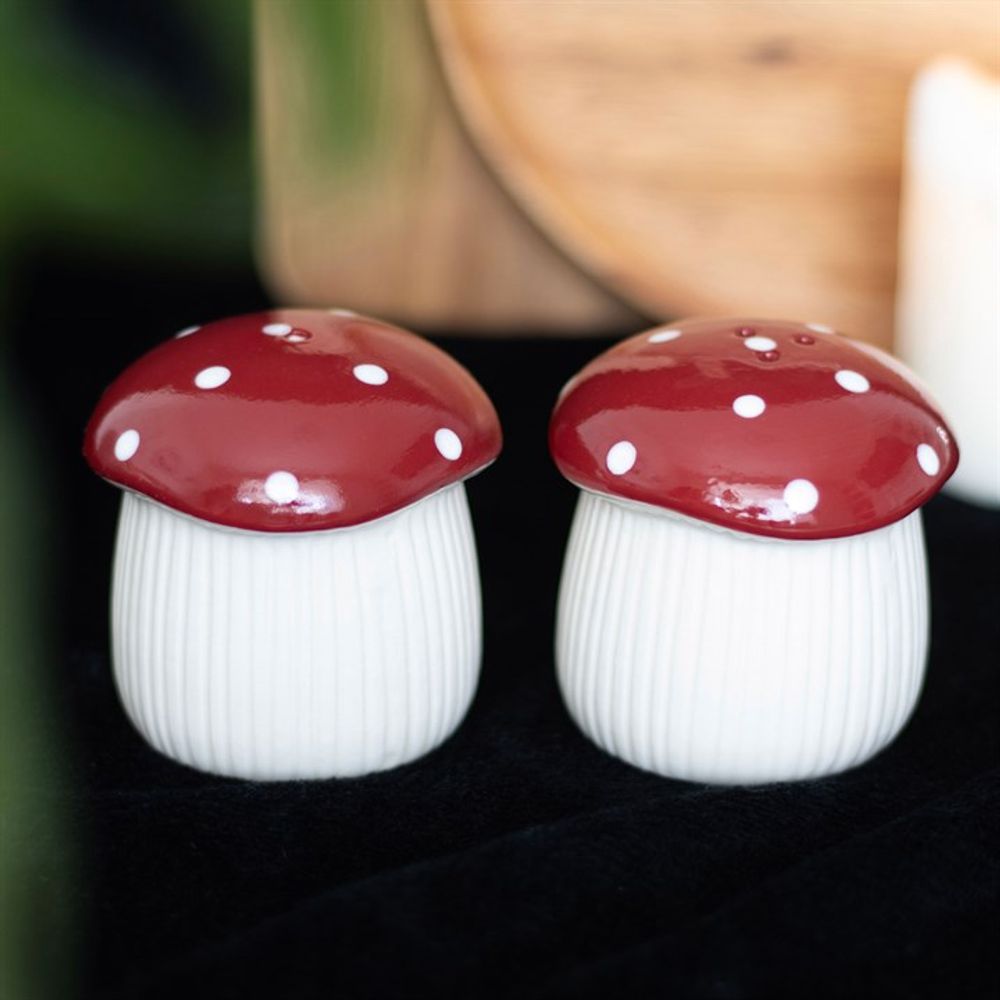 Ceramic Mushroom Salt and Pepper Shakers Gift Set