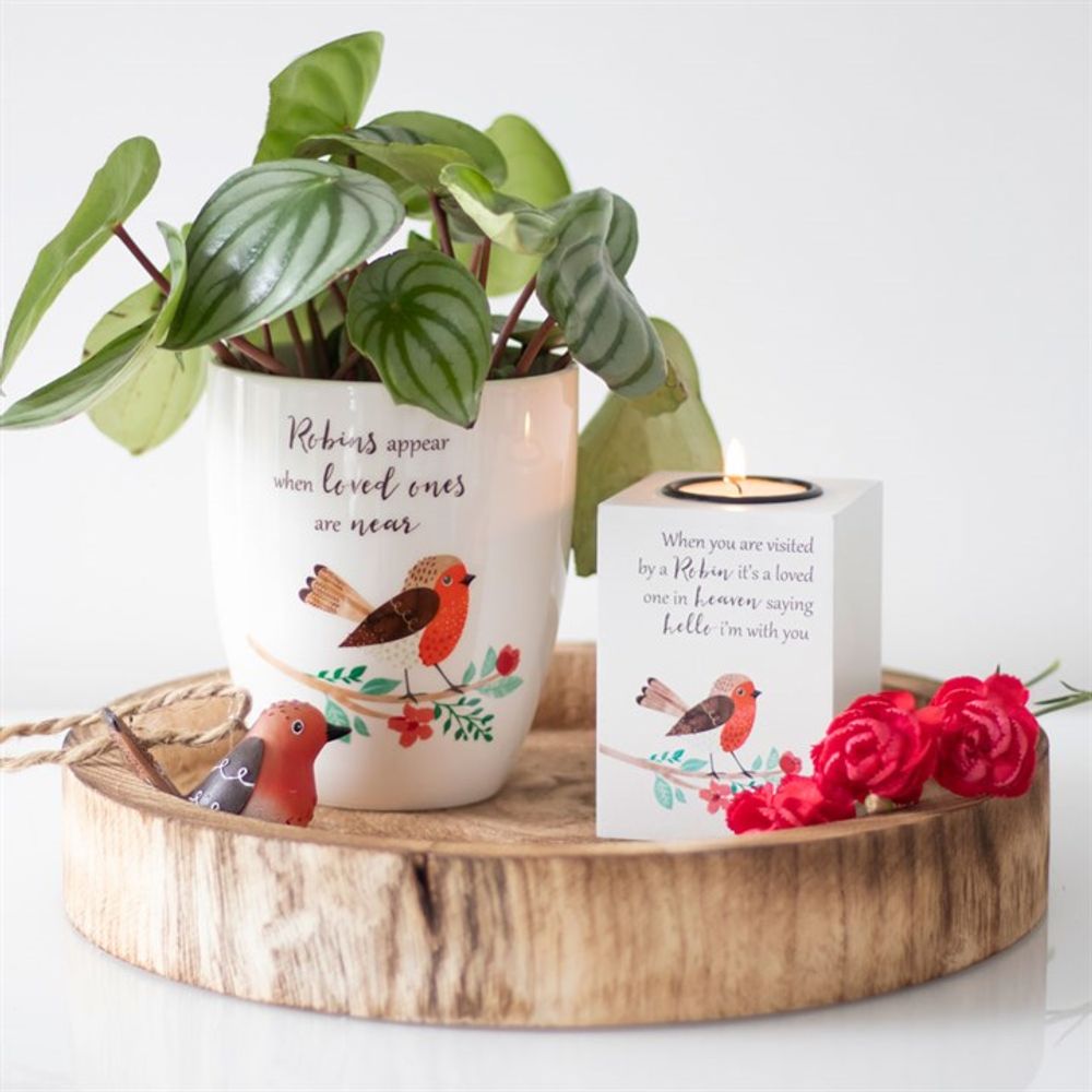 Ceramic Robin Plant Pot - Robins Appear When Loved Ones Are Near