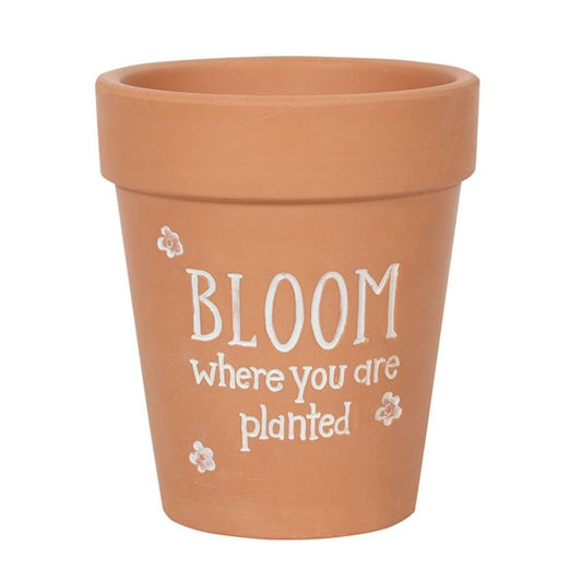 Terracotta Plant Pot - Bloom Where You Are Planted