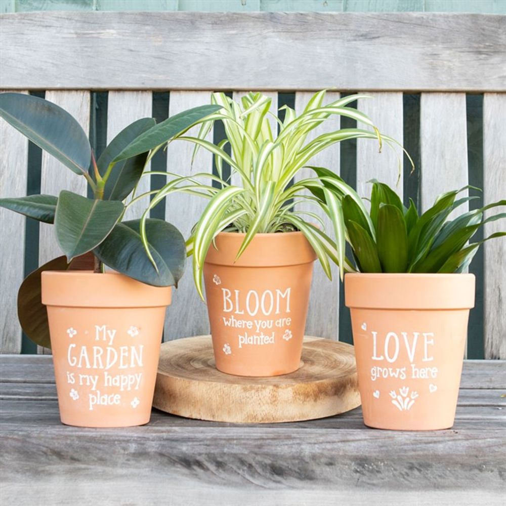 Terracotta Plant Pot - Bloom Where You Are Planted