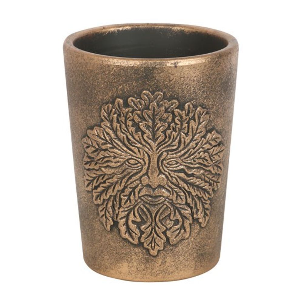 Antique Bronze Finished Terracotta Plant Pot - Green Man by Lisa Parker