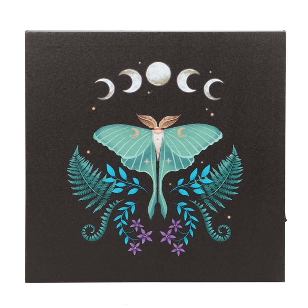 Battery Powered Luna Moth Light Up Canvas Wall Decor