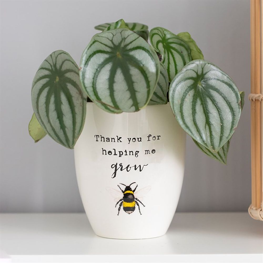 Honey Bee Ceramic Plant Pot - Thank You For Helping Me Grow