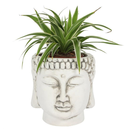 Terracotta Zen Buddha Head Planter Pot - Antique White Glaze