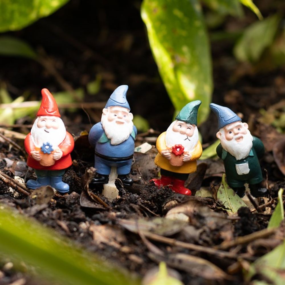 Mini Garden Gnomes Pot Plant Decorations - Set of 4