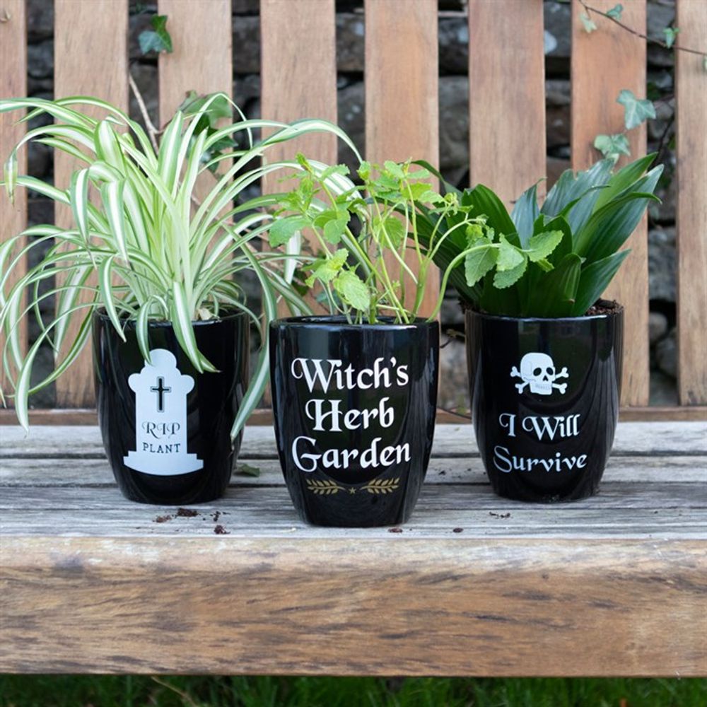 Fun Black and White Gothic Plant Pot - RIP Plant